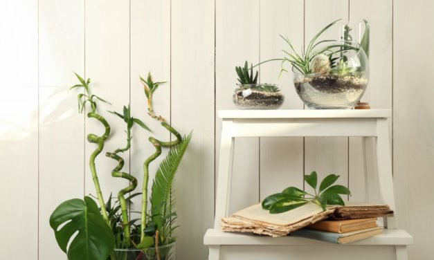 Giv trappestigen nyt liv: 3 spændende DIY-ideer!