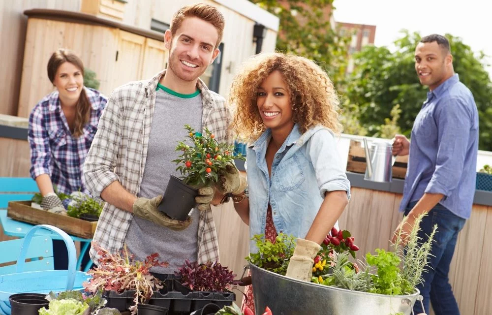 Lav en ombygningsbegivenhed i haven med vennerne