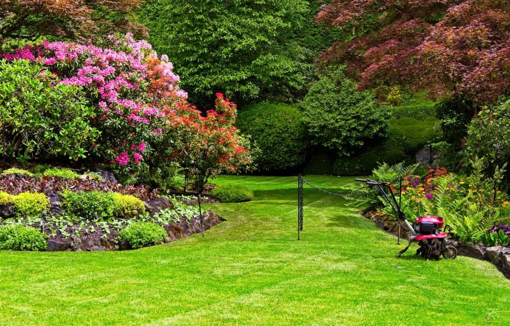 Sådan får du en smuk have med græs, blomster og plante